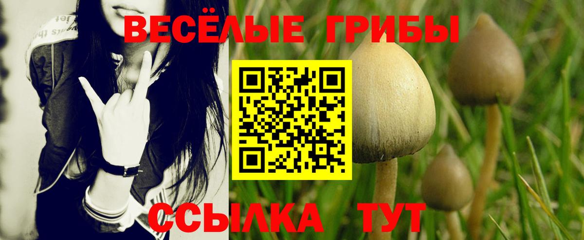 Псилоцибиновые грибы ЛСД  Вход с VPN  Северобайкальск  Псилоцибиновые грибы мухоморы 